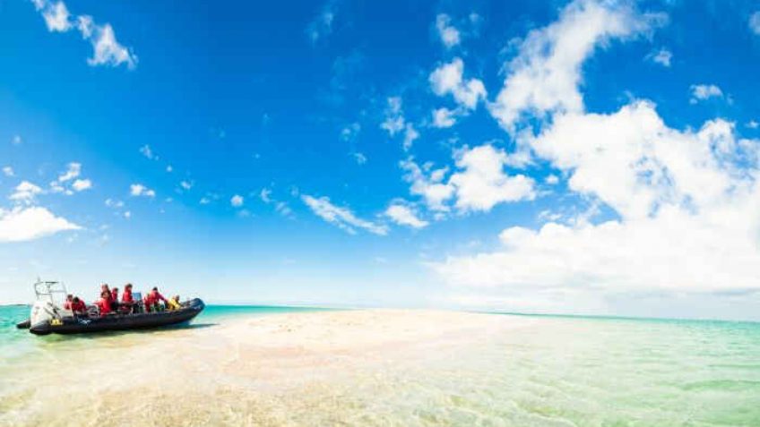 Le spécialiste de Jersey et des Iles Anglo-Normandes