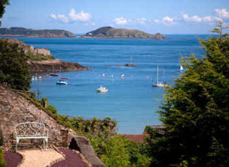 Le spécialiste de Jersey et des Iles Anglo-Normandes