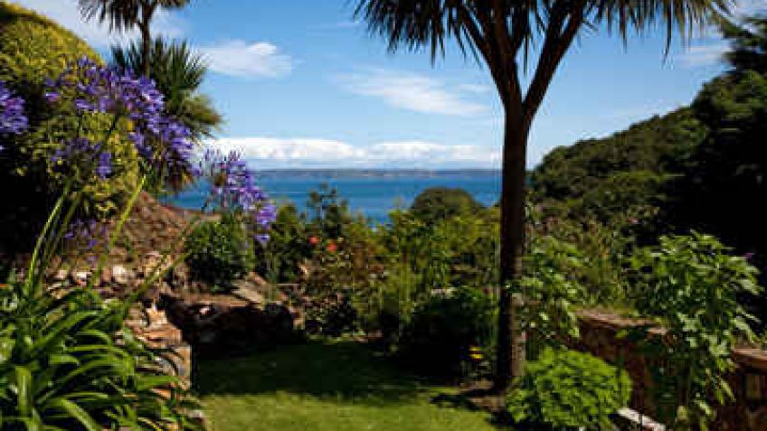 Le spécialiste de Jersey et des Iles Anglo-Normandes