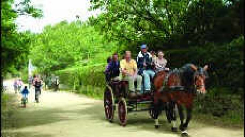 balade cheval sark